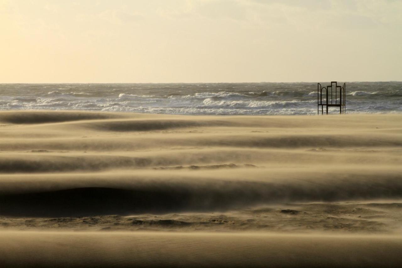 Villa Les Paquerettes Oostende Dış mekan fotoğraf