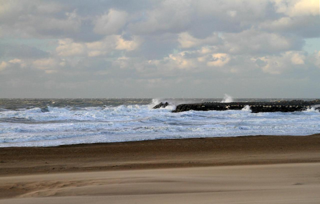 Villa Les Paquerettes Oostende Dış mekan fotoğraf